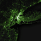 Illustration for article titled The Most Detailed Tweet Map Ever Includes 6,341,973,478 Tweets